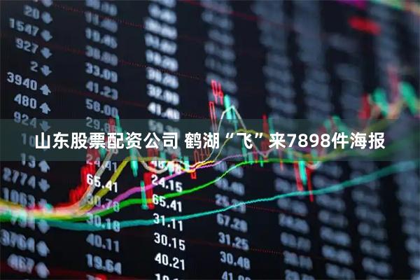 山东股票配资公司 鹤湖“飞”来7898件海报